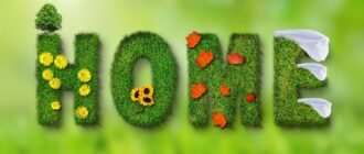 spring, at home, summer